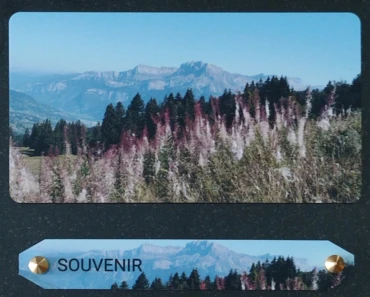 Plaques personnalisées